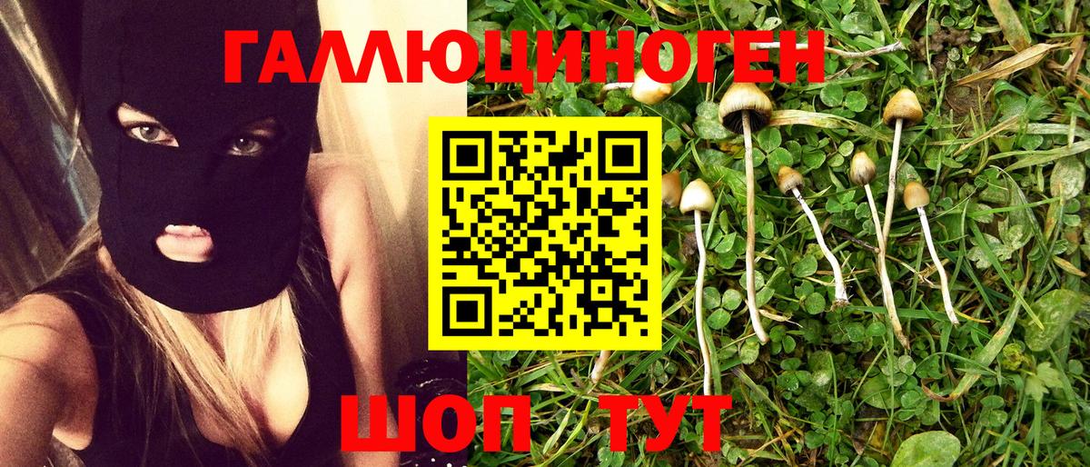 Галлюциногенные грибы прущие грибы  где купить наркотик  Гурьевск  Вход с VPN  Галлюциногенные грибы GOLDEN TEACHER 
